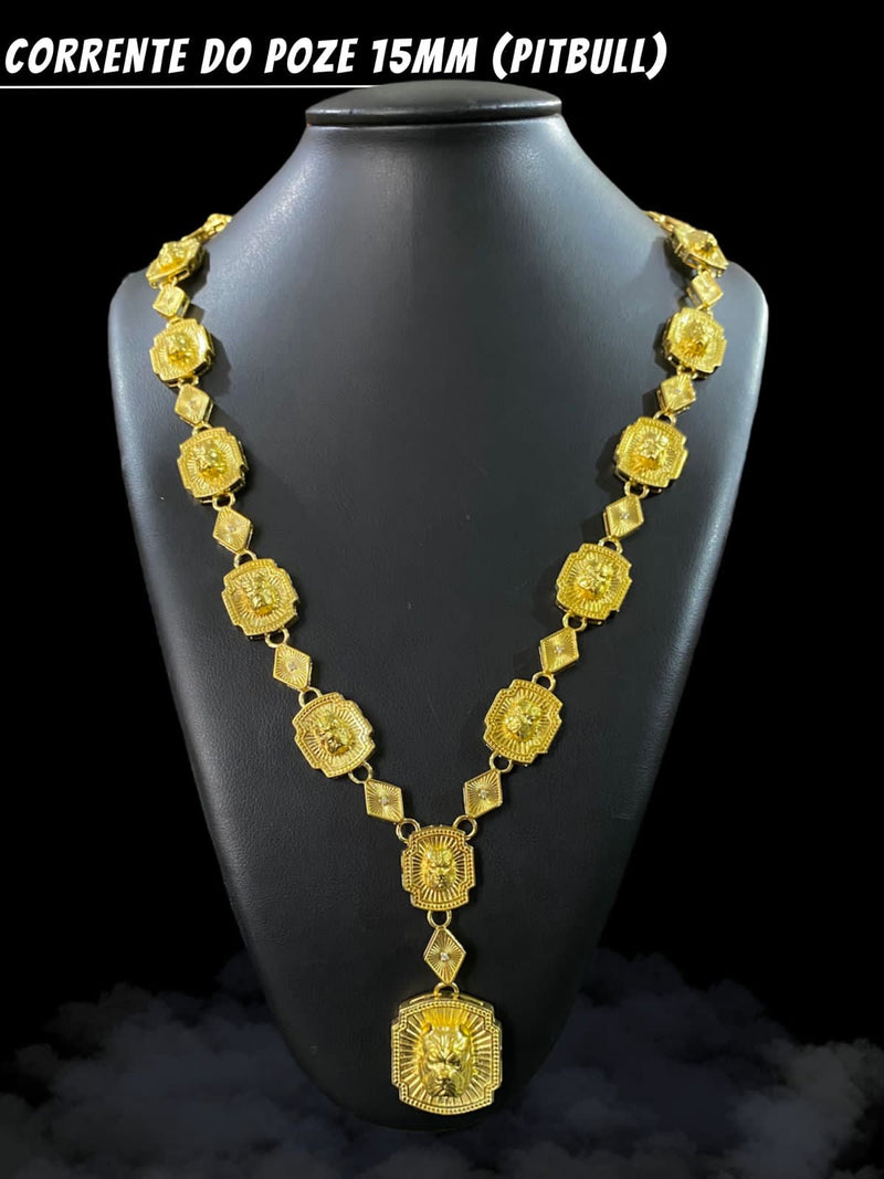 CORRENTE DO POZE PITBUL EM MOEDA ANTIGA